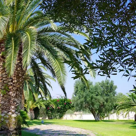 Melograno Rosa Marina